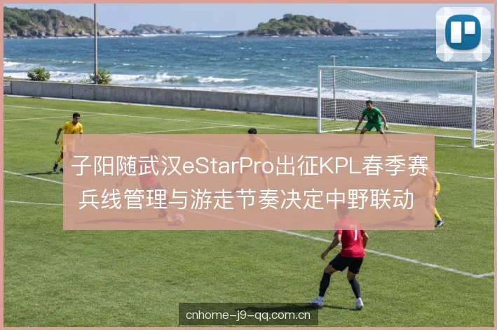 视野布控的先后次序